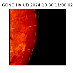 gong - 2024-10-30T11:00:02