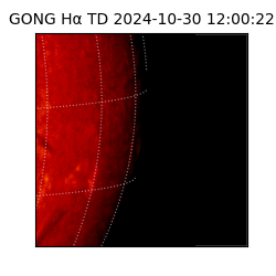 gong - 2024-10-30T12:00:22