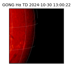 gong - 2024-10-30T13:00:22
