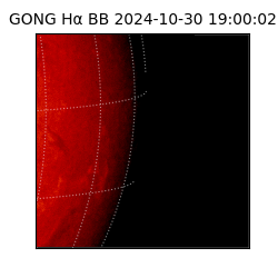 gong - 2024-10-30T19:00:02