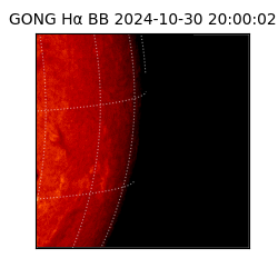 gong - 2024-10-30T20:00:02