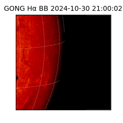 gong - 2024-10-30T21:00:02