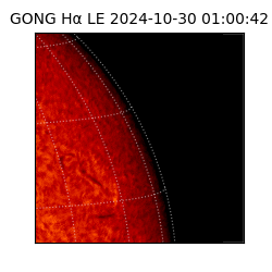 gong - 2024-10-30T01:00:42