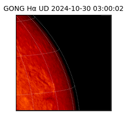 gong - 2024-10-30T03:00:02