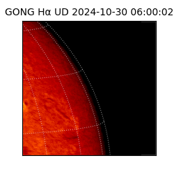 gong - 2024-10-30T06:00:02