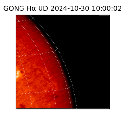 gong - 2024-10-30T10:00:02