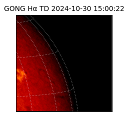 gong - 2024-10-30T15:00:22