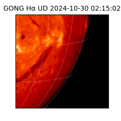 gong - 2024-10-30T02:15:02