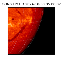 gong - 2024-10-30T05:00:02