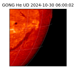 gong - 2024-10-30T06:00:02