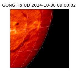 gong - 2024-10-30T09:00:02