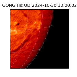 gong - 2024-10-30T10:00:02