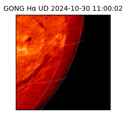 gong - 2024-10-30T11:00:02