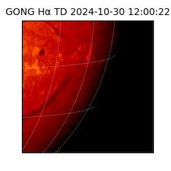 gong - 2024-10-30T12:00:22