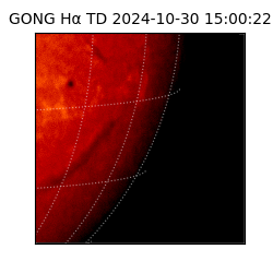 gong - 2024-10-30T15:00:22