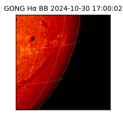 gong - 2024-10-30T17:00:02