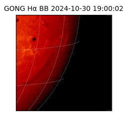 gong - 2024-10-30T19:00:02