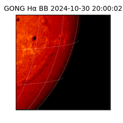 gong - 2024-10-30T20:00:02