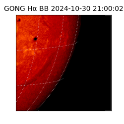 gong - 2024-10-30T21:00:02