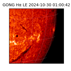 gong - 2024-10-30T01:00:42