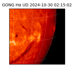 gong - 2024-10-30T02:15:02