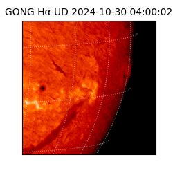 gong - 2024-10-30T04:00:02