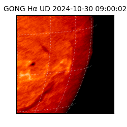 gong - 2024-10-30T09:00:02