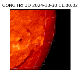 gong - 2024-10-30T11:00:02
