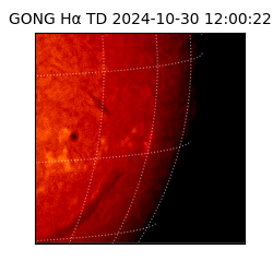 gong - 2024-10-30T12:00:22