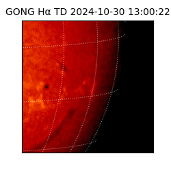 gong - 2024-10-30T13:00:22