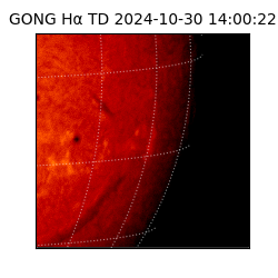 gong - 2024-10-30T14:00:22