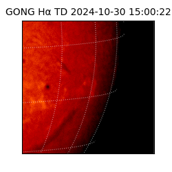 gong - 2024-10-30T15:00:22