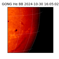 gong - 2024-10-30T16:05:02