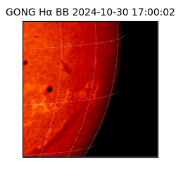 gong - 2024-10-30T17:00:02