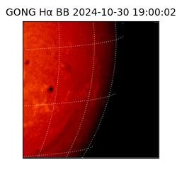 gong - 2024-10-30T19:00:02