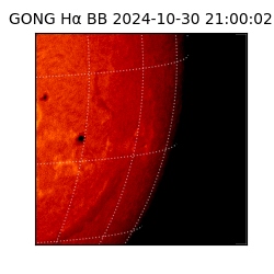 gong - 2024-10-30T21:00:02