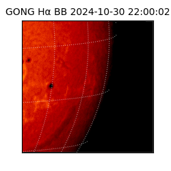 gong - 2024-10-30T22:00:02