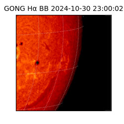 gong - 2024-10-30T23:00:02