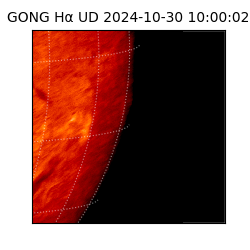 gong - 2024-10-30T10:00:02