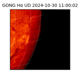 gong - 2024-10-30T11:00:02