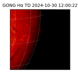 gong - 2024-10-30T12:00:22