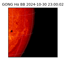 gong - 2024-10-30T23:00:02