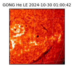 gong - 2024-10-30T01:00:42