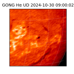 gong - 2024-10-30T09:00:02