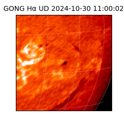 gong - 2024-10-30T11:00:02