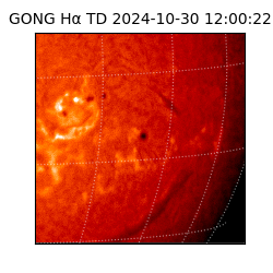 gong - 2024-10-30T12:00:22