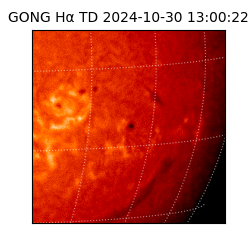 gong - 2024-10-30T13:00:22