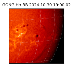 gong - 2024-10-30T19:00:02