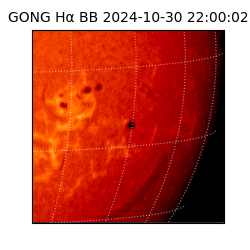 gong - 2024-10-30T22:00:02