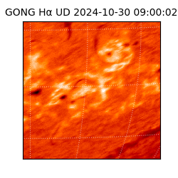 gong - 2024-10-30T09:00:02